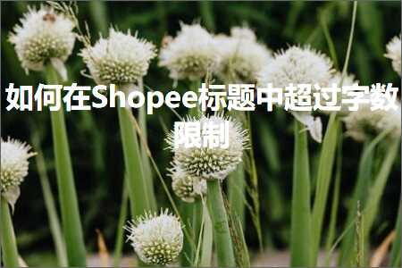 跨境电商知识:如何在Shopee标题中超过字数限制