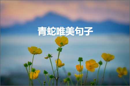 榧撳姳澶鐨勫敮缇庡彞瀛愶紙鏂囨343鏉★級